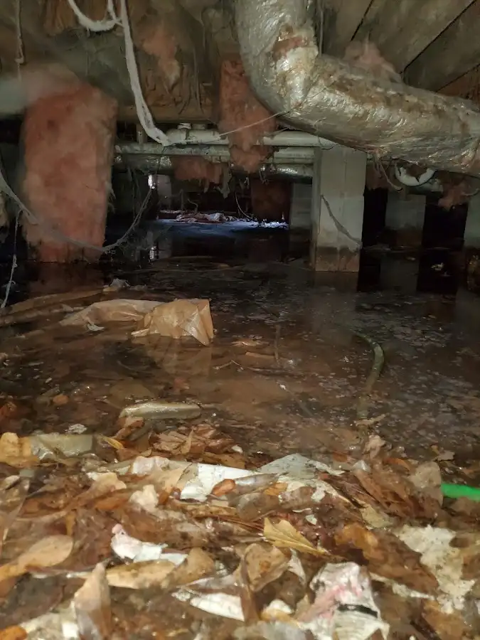 Crawl space flood assessment for Leak Detection & Repair in La Presa